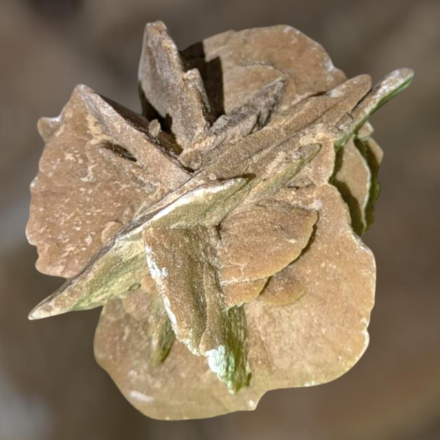 Rose des sables 439 gr