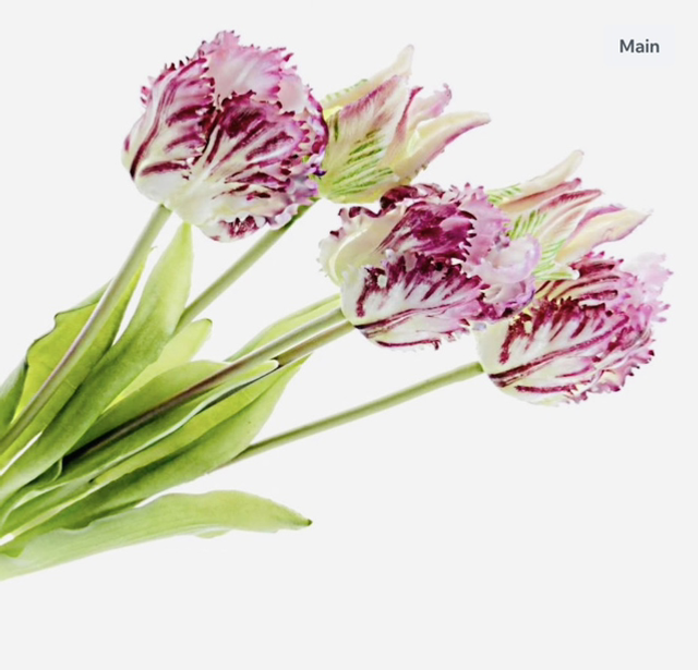 Real Touch Parrot Tulip