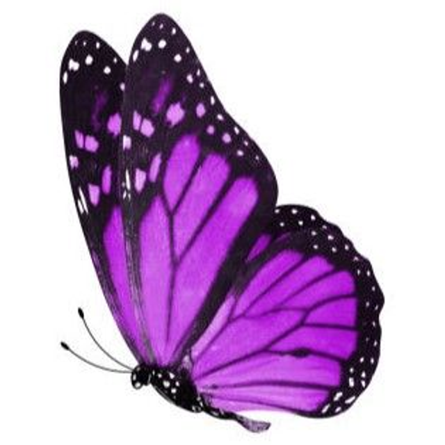 Boucles d'oreilles Papillon