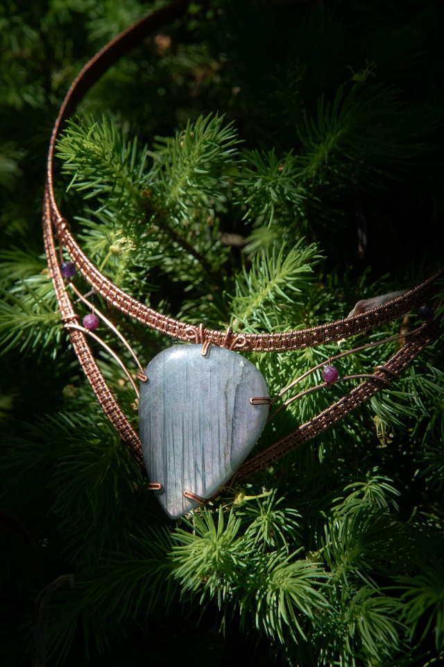 Plastron Galakse