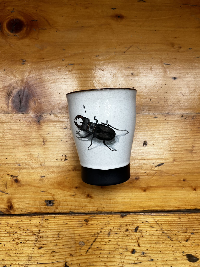 Teebecher Hirschkäfer (MSM)