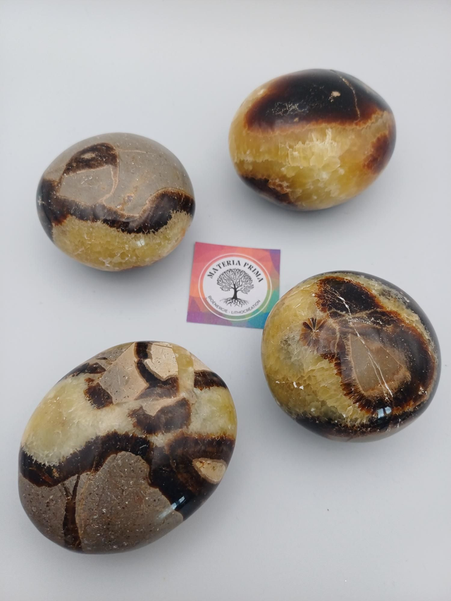 Septaria (pierre roulée)
