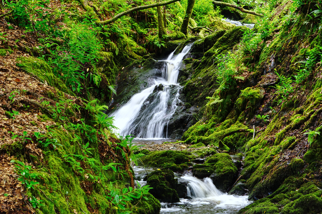 A4 Waterfall - Photoprint Unframed