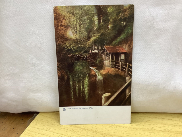 The Chine, Shanklin, Isle of Wight, Raphael Tuck &amp; Sons Oilette vintage postcard. Our Ref No. R631 £2.50