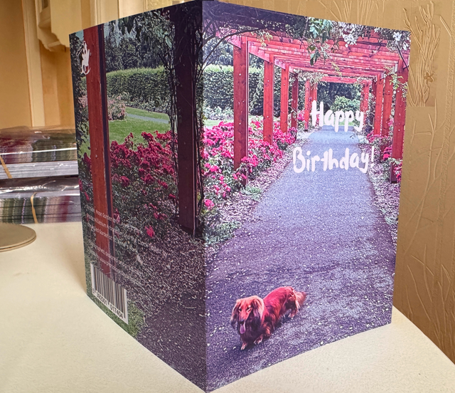 Birthday card with Rose Garden