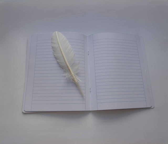 Le carnet ligné aux orangs-outans