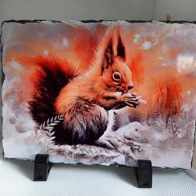 Squirrel Printed Slate 