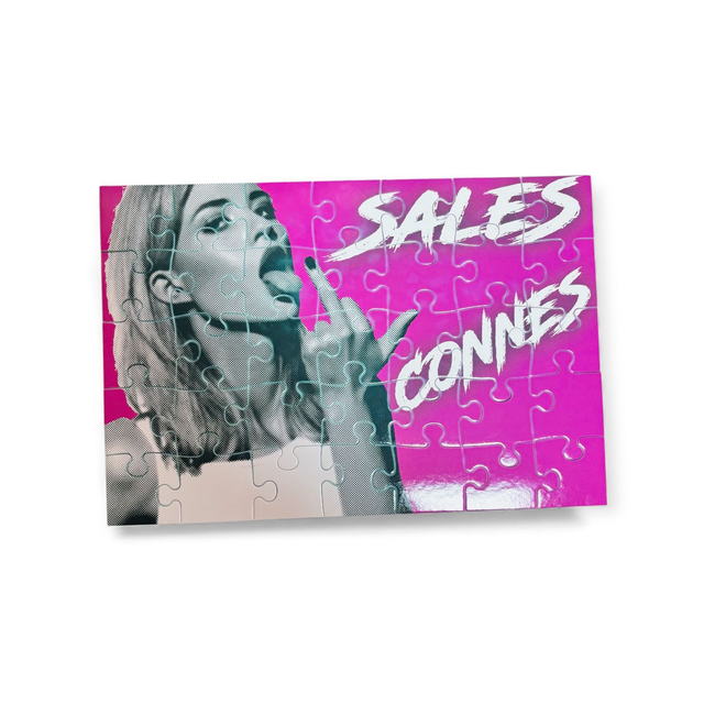 Puzzle Sales connes