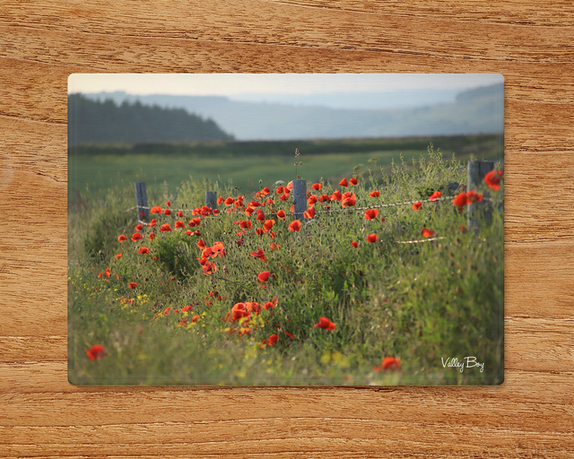 "Poppies at High Bradfield" Glass Worktop Saver  