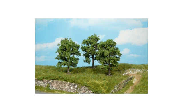 4 arbres fruitiers 8cm héki 1716