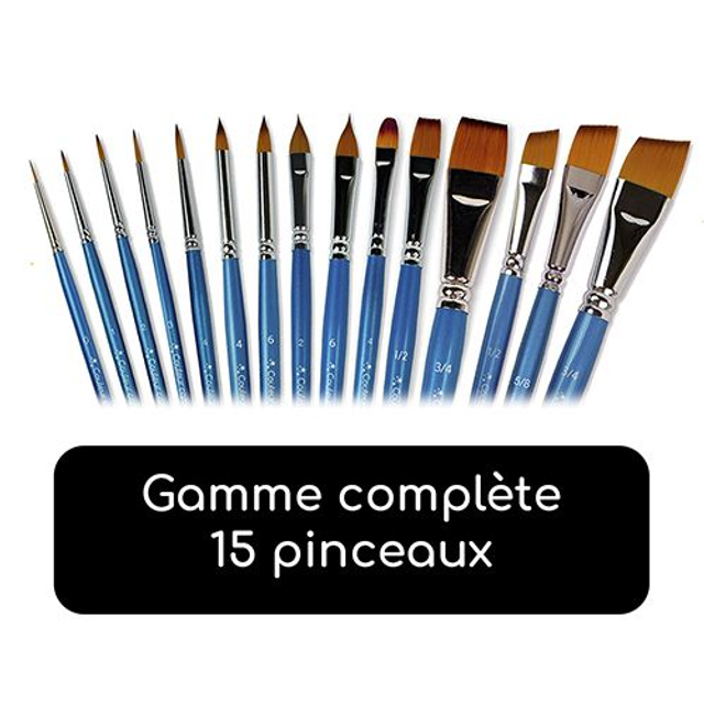 Gamme complète de pinceaux 