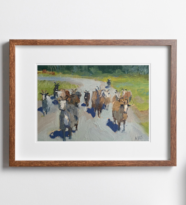 Sur la route de Barcaggio - Corse 