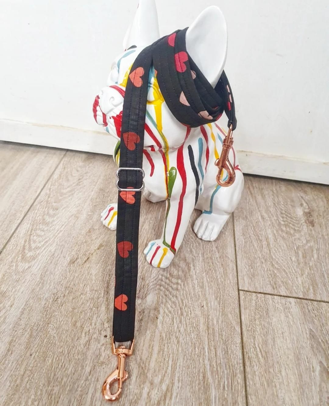 TIP_Laisse15 Réglable ◾️Cœur 