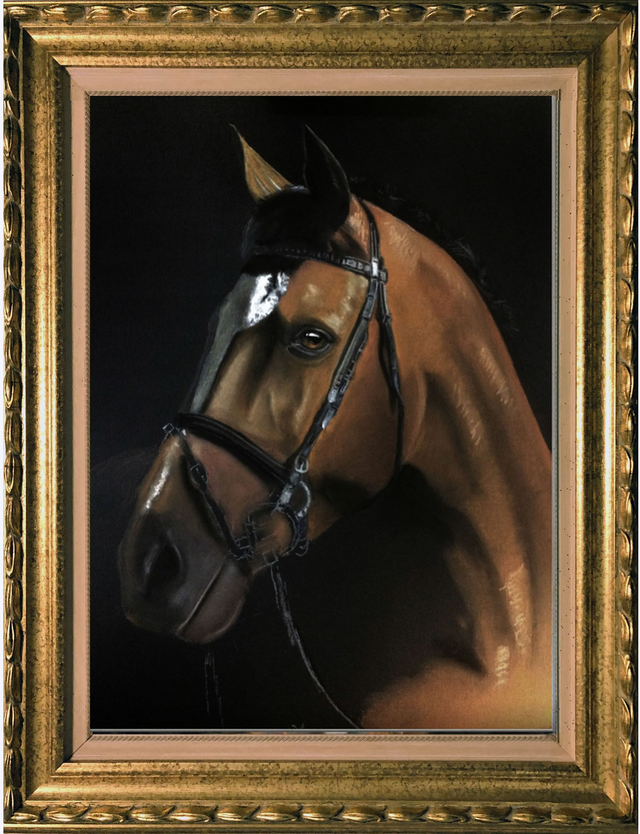 Cavallo ,pastelli morbidi su masonite 35 x 50 cm. (Daniele Poltronieri)