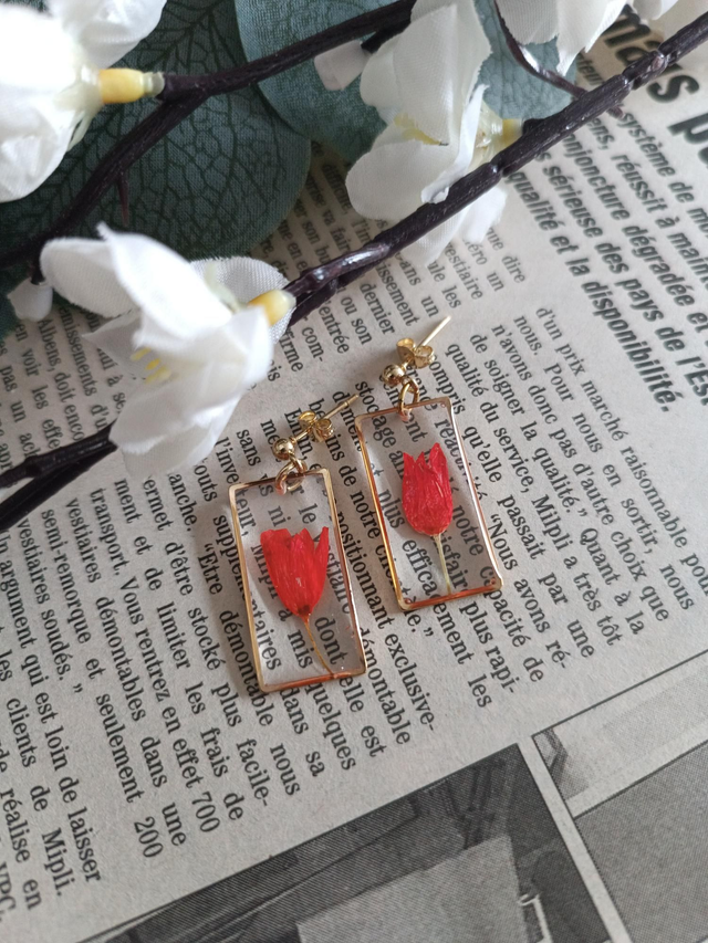 Ail rose - Modèles 1&amp;2