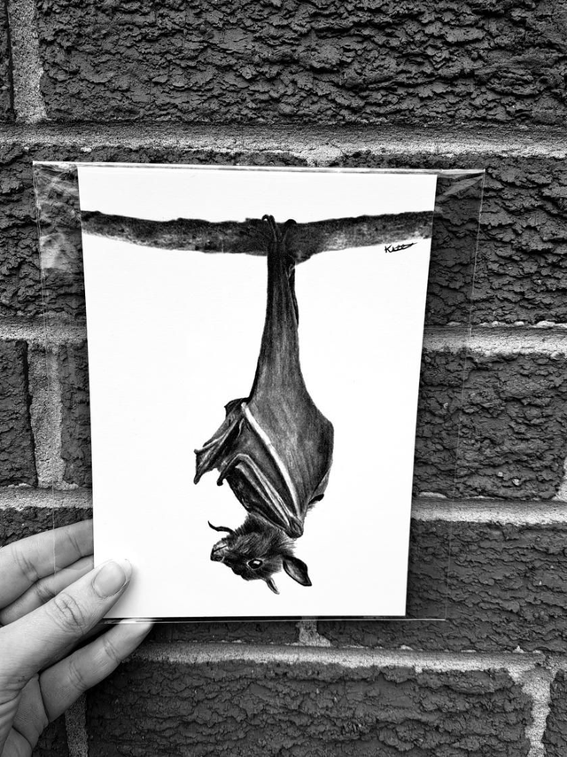 Bat Mini Print
