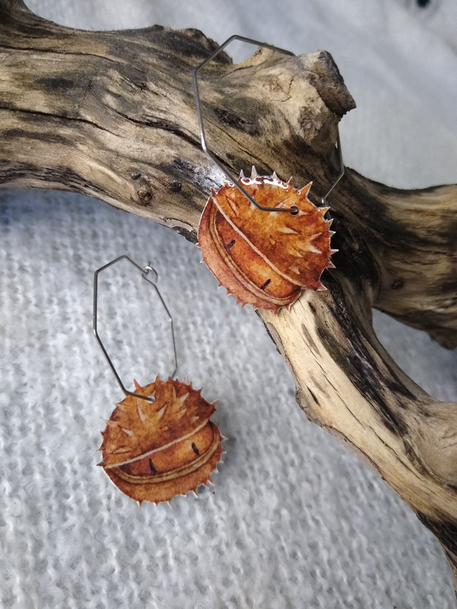 Boucles Bogues de Marrons