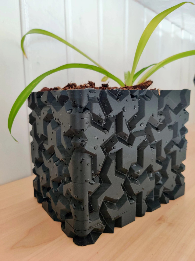 POT - Rectangular Einstein