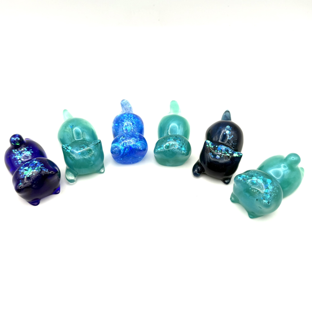 Lot de chatons porte couverts 