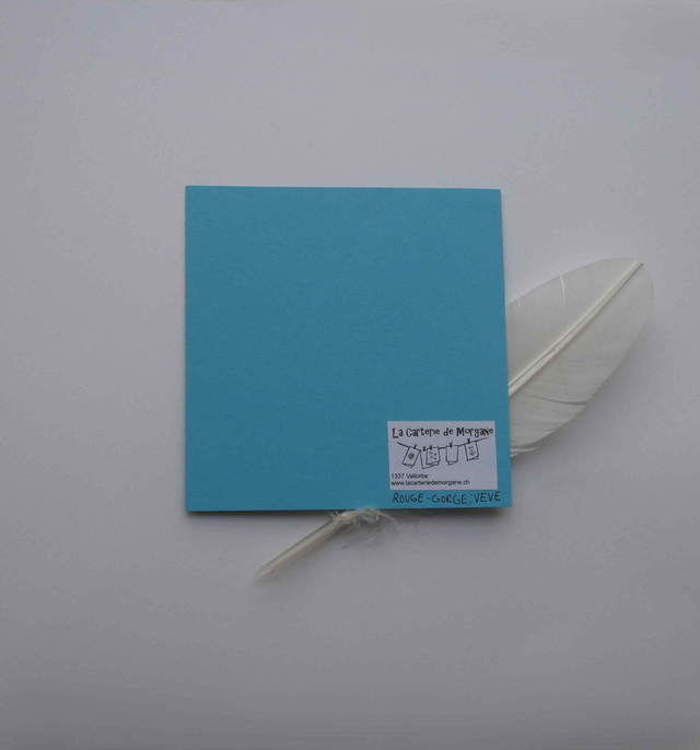 Les rouges-gorges de la bonne année