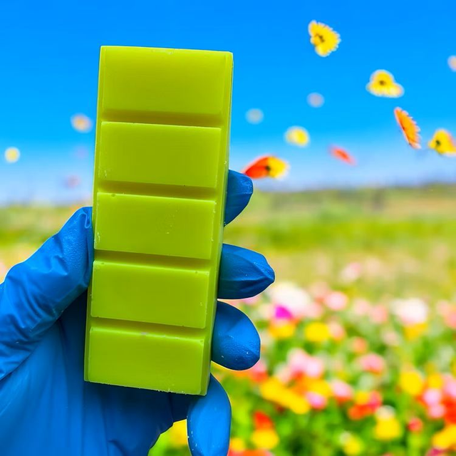 Citronella Wax Snap Bar 