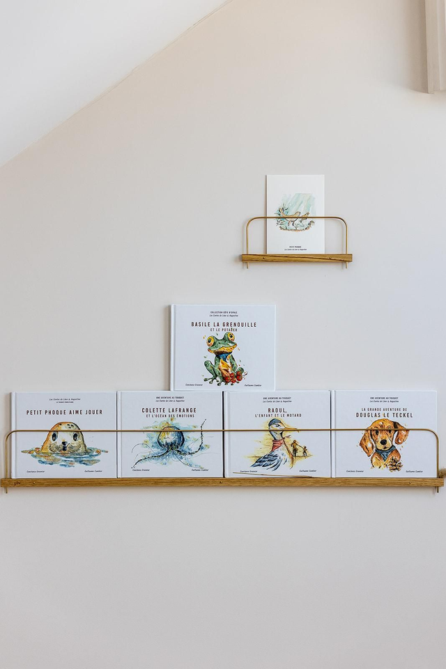 Carte illustrée - Grand Phoque et Petit Phoque