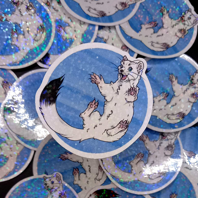 COLLECTION MUSTELIDAE