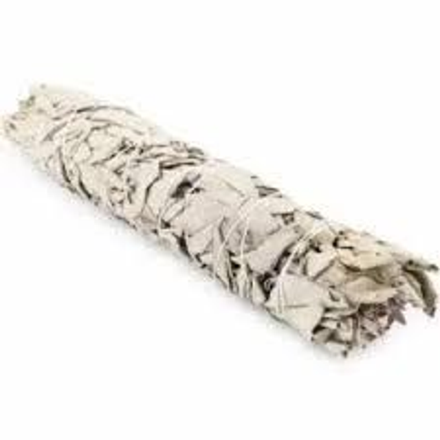 INCENSO • Salvia Bianca (Smudge Californiano) 20cm