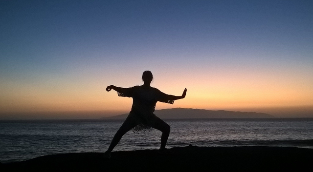 Tai Chi Video Tutorial Library Access (One month)