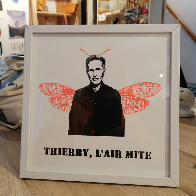 THIERRY, L'AIR MITE