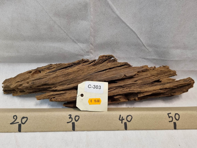 Racine Mangrove C-303