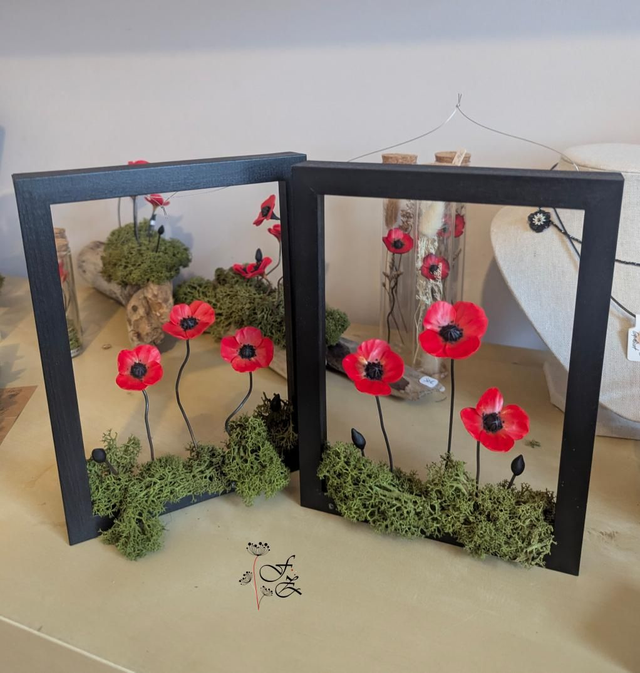 Cadre bucolique fleurs rouge coquelicot