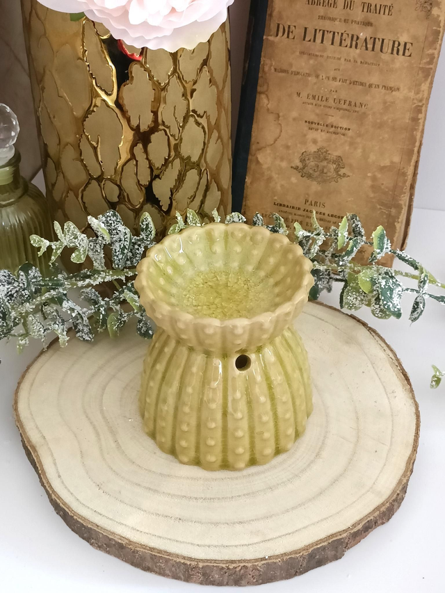 Brûle parfum cactus