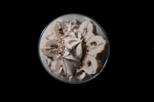 Bougie parfumée Cookie Chocolat – Parfum gourmand et réconfortant