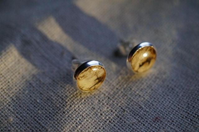 Clous d'oreilles - Bouleau