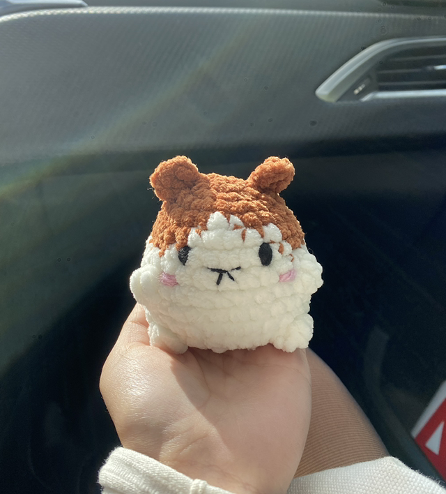 Hamster 🐹