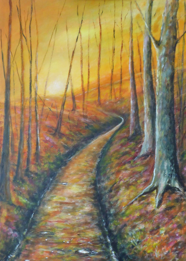 Un chemin vers la lumière