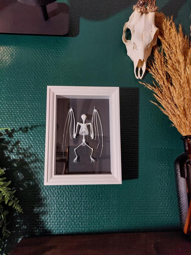 Cadre blanc chauve-souris 