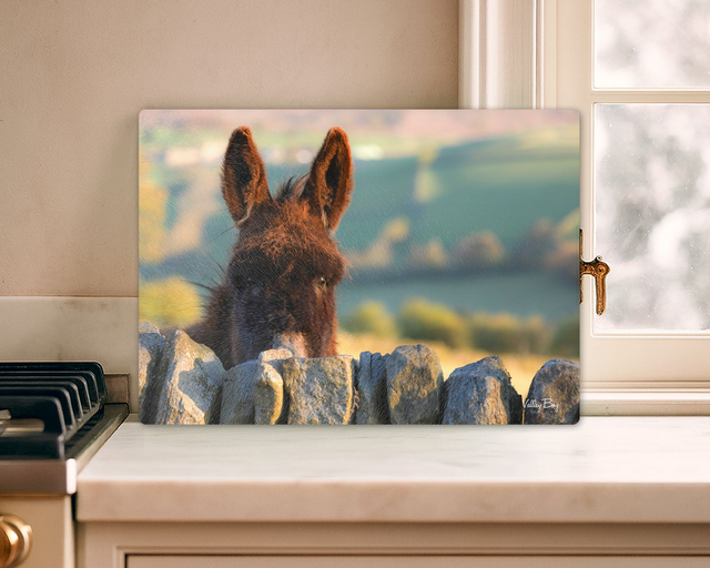 "Peeping Donkey" Glass Worktop Saver   