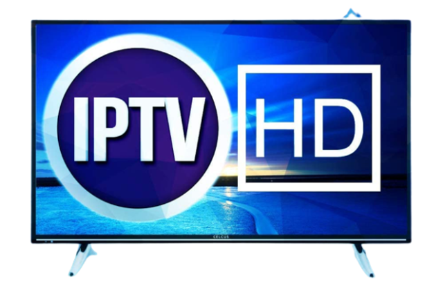 3 Months subscription