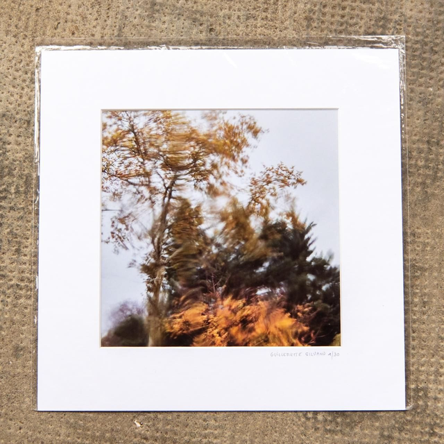 Tirage d'art "arbres d'automne sous la pluie" - 20x20