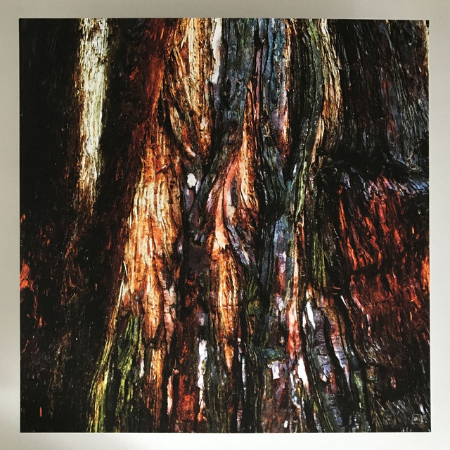 "Hélénite#131" - Tirage Photo FineArt (30x30 sans cadre)