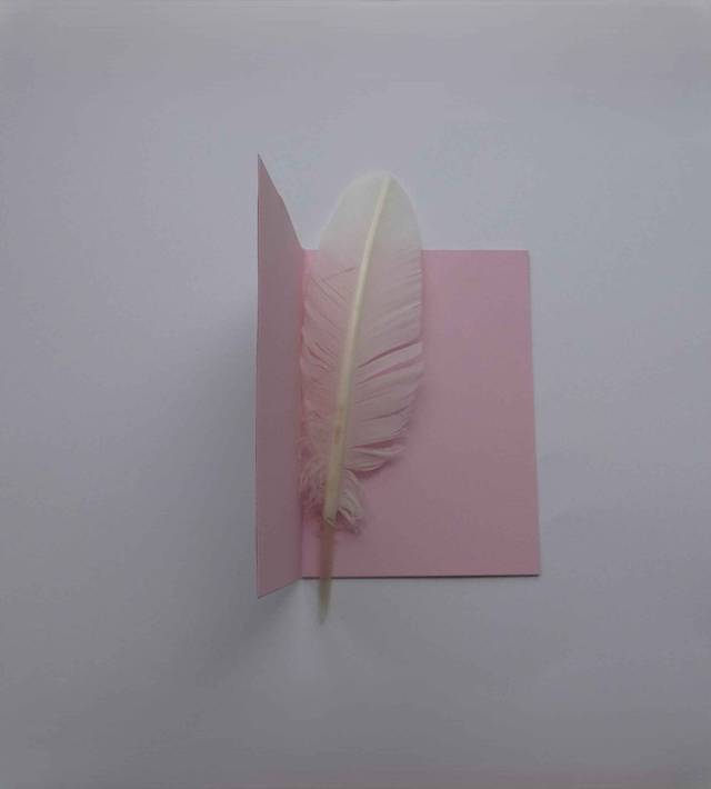 Bonne année en rose