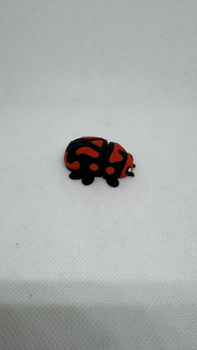 Coccinelle