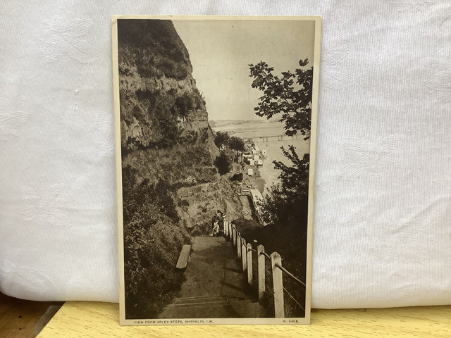 Shanklin, View from Apley Steps, Isle of Wight Posted 1924 W.J. Nigh Antique Postcard. Our Ref No. R885 £2.75
