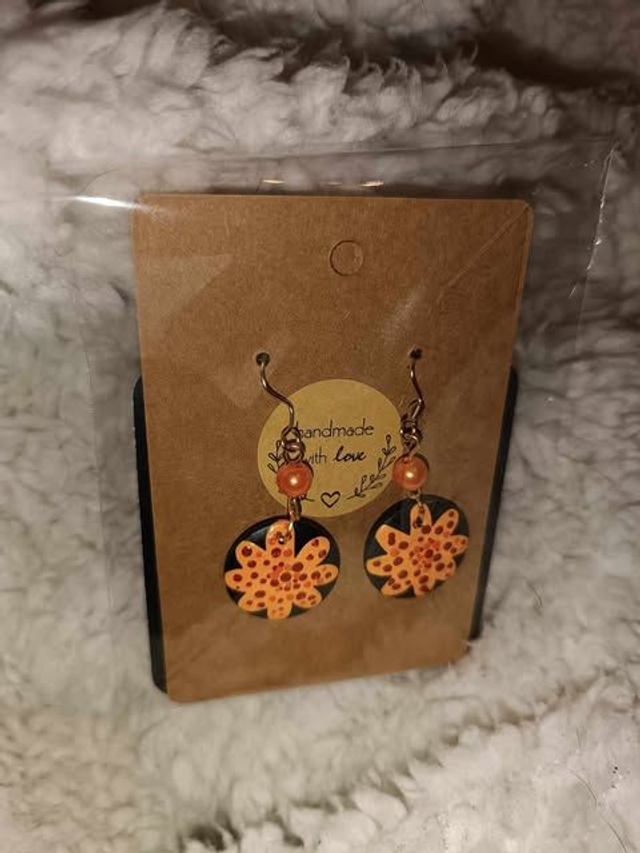 paire de boucles d&#039;oreilles 