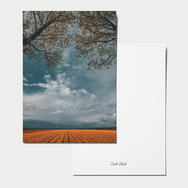 A6 kaart - Tulpenveld