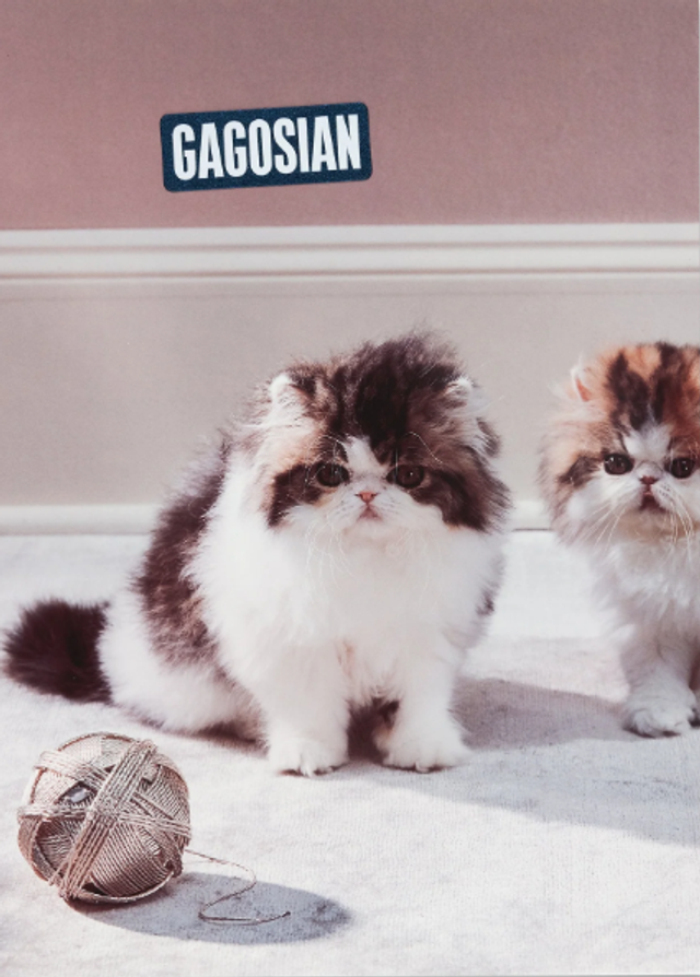 Gagosian 25