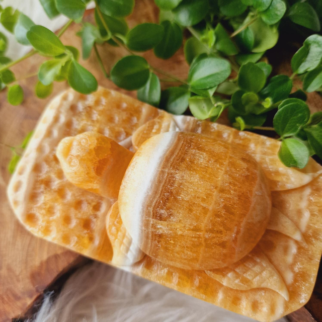 Orange Calcite Hangcarved Turtle Carving 440g