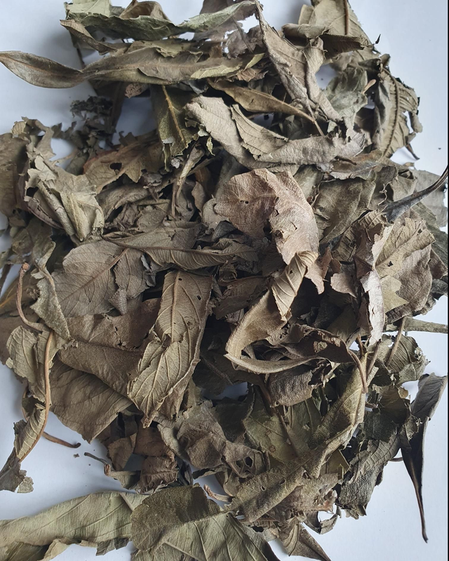Feuilles de Kinkéliba 50g